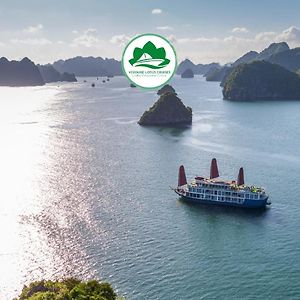 Verdure Lotus Classic Cruise